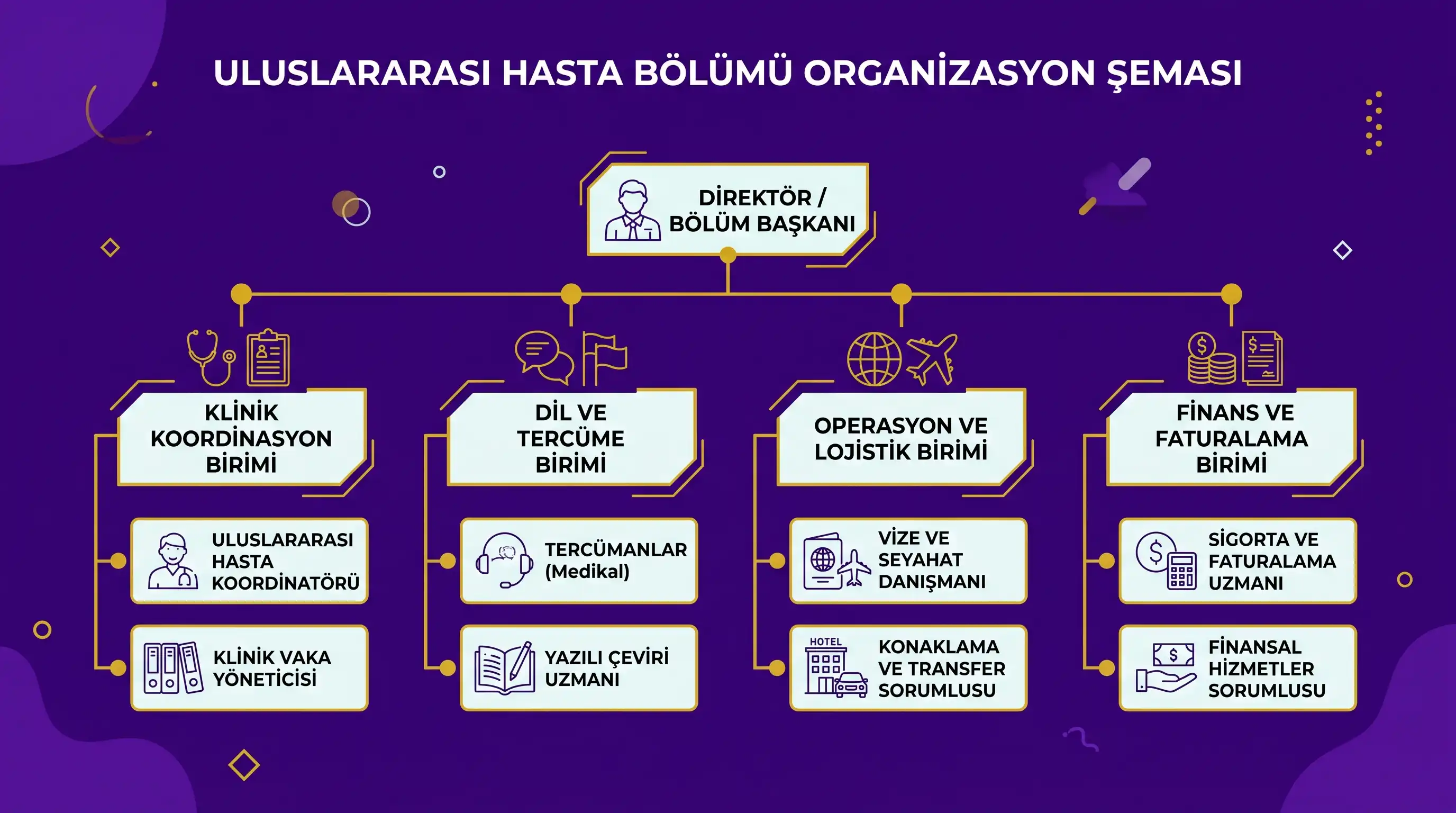 Uluslararası hasta bölümü organizasyon şeması, koyu mor zemin üzerine altın sarısı bağlantılarla klinik koordinasyon, tercüme, operasyon ve finans birimlerini gösteren Ahmet Yardımcı Academy infografiği
